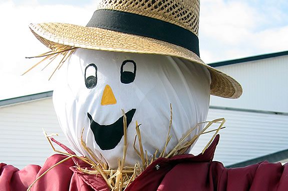 The Newburyport Scarecrow Contest is open to the public and free to all! The Newburyport Scarecrow Contest is open to the public and free to all!