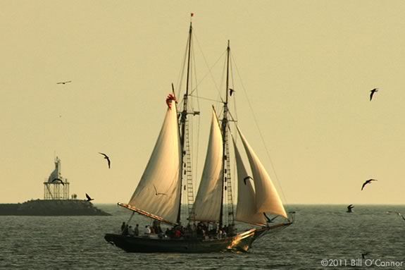 Kids ride free on the 10:30am Saturday Cruise aboard the Schooner Thomas E. Lannon through Summer Kids ride free on the 10:30am Saturday Cruise on the Lannon through Summer