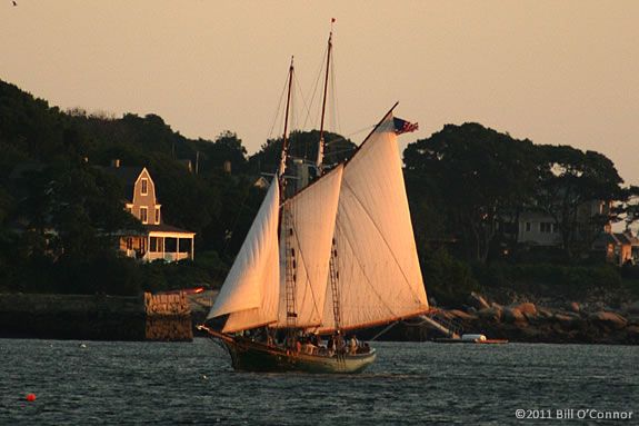 Enjoy a sunset sail with dad aboard the Schooner Thomas Lannon on Fathers Day! Enjoy a sunset sail with dad aboard the Schooner Thomas Lannon on Fathers Day!