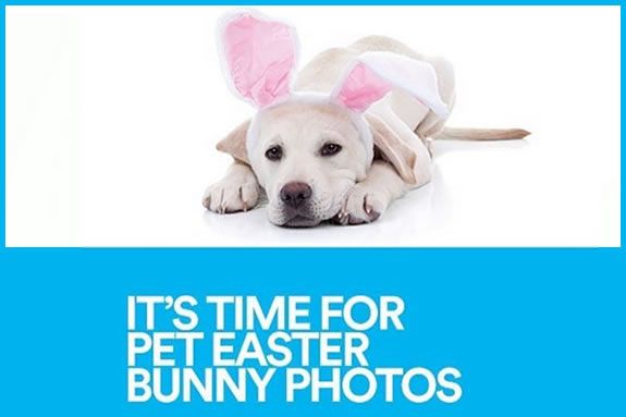 Pet Photos with the Easter Bunny at Northshore Mall, Peabody MA Pet Photos with the Easter Bunny at Northshore Mall, Peabody MA