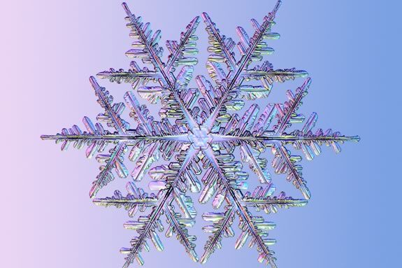 Come explore snowflakes from outside and in during this hands-on workshop.