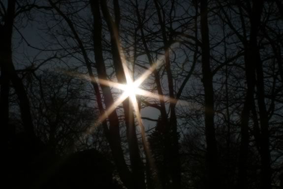Come celebrate the start of Summer with a solstice stroll at Halibut Point State Park Come celebrate the start of Summer with a solstice stroll at Halibut Point State Park