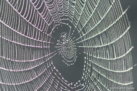 Kids will learn about spiders and webs through hands-on art at Joppa Flats Cente