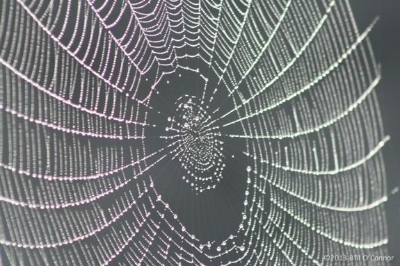Kids will learn about spiders and webs through hands-on art at Joppa Flats Education Center in Newburyport. Kids will learn about spiders and webs through hands-on art at Joppa Flats Cente
