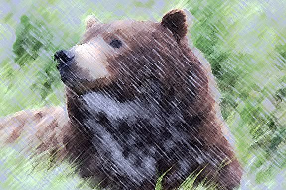 Teens are invited to discover their Spirit Animals at the Beverly Library! Teens are invited to discover their Spirit Animals at the Beverly Library!
