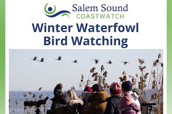 Join Salem Sound Coastwatch for a for a birding session at Winter Island in Salem Massachusetts