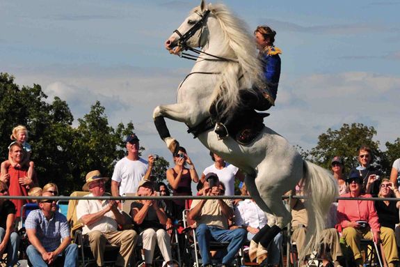Herrmanns' Royal Lipizzan Stallions come to Cogswell's Grant in Essex 