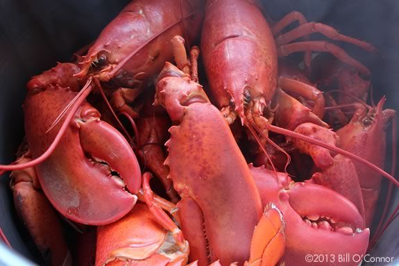 Enjoy lobster at in Rockport Massachusetts to help fund the annual fireworks show! Enjoy lobster at in Rockport Massachusetts to help fund the annual fireworks show!
