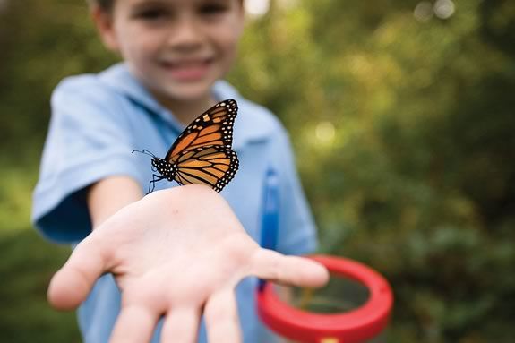 Kids will learn about monarch butterflies at the Trustees of Reservations' Stevens-Coolidge Estate in North Andover! Kids will learn about monarch butterflies at the Trustees of Reservations' Stevens-Coolidge Estate in North Andover!