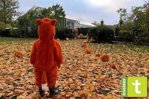 Come to the Stevens-Coolidge Place Ghoulish Gardens in North Andover Massachusetts! Come to the Stevens-Coolidge Place Ghoulish Gardens in North Andover Massachusetts!
