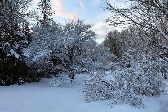 Come enjoy the Winter landscapes of the Stevens-Coolidge Estate in North Andover Come enjoy the Winter landscapes of the Stevens-Coolidge Estate in North Andover