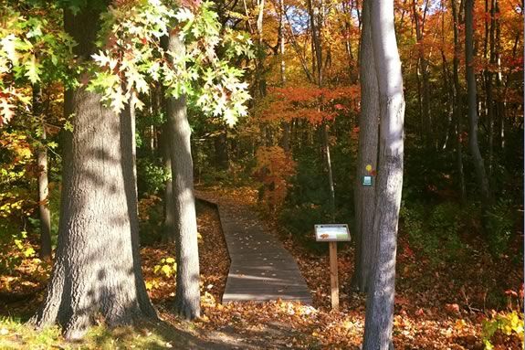 The Stevens to Stevens trail head in North Andover. Photo: Friends of North Andover Trails