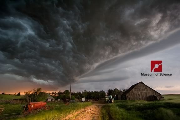 Tornado Alley is one of the Omni Films offered for free view Friday March 30. Africa: The Serengeti and Dolphins are also available to view at other times during the day! Tornado Alley is one of the Omni Films offered for free view Friday March 30