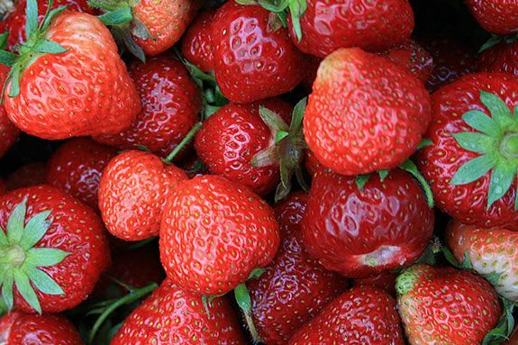 The Strawberry Festival at Russel Orchards features lots of fun and live music! Photo: ©Bill O'Connor The Strawberry Festival at Russel Orchards features lots of fun and live music! Photo: ©Bill O'Connor