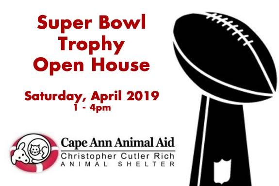 Come to the Super Bowl Trophy Open House at the Cape Ann Animal Aid in Gloucester Massachusetts