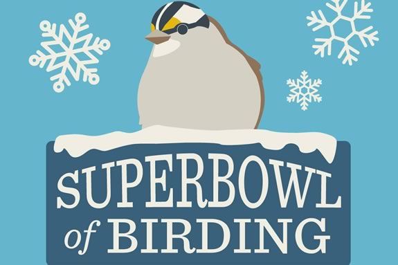 The Superbowl of Birding 2026 is a unique competition conducted in Rockingham County, NH, and Essex County, Massachusetts