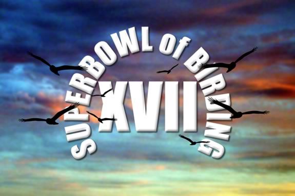Mass Audubon's Superbowl of Birding is a great way to spend the day outdoors with family. Mass Audubon's Superbowl of Birding is a great way to spend the day outdoors with family.