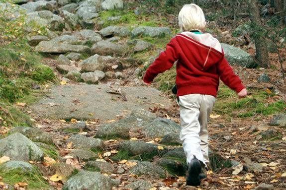 Kids and families will learn all about questing on an exploration through Sweetbay Swamp at Ravenswood Park in Gloucester! Kids and families will learn all about questing on an exploration in Ravenswood!