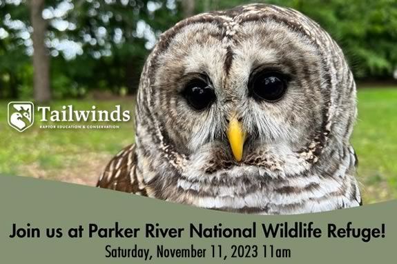 Learn about and meet birds of prey at Parker River Wildlife Refuge in Newburyport Massachusetts! Learn about and meet birds of prey at Parker River Wildlife Refuge in Newburyport!