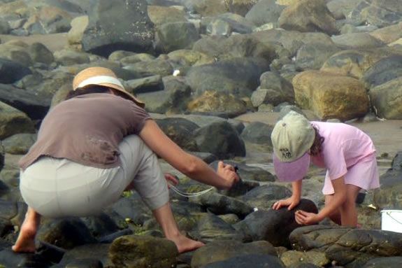 This parent/child walkabout at Joppa Flats focuses on tidal pool creatures and habitats at Sandy Point State Reservation This parent/child walkabout focuses on tidal pool creatures and habitat.