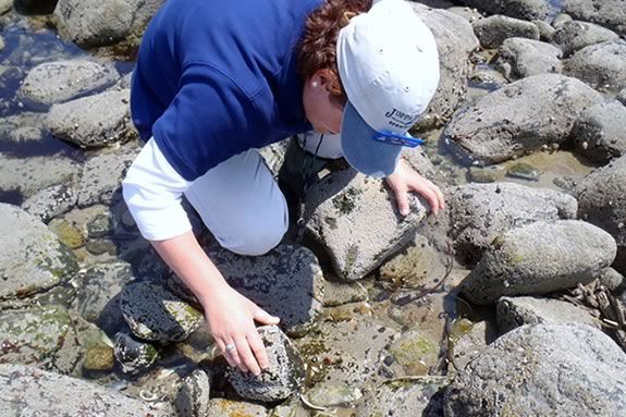 Have a tide pooling adventure at Sandy Point with Mass Audubon naturalist from Joppa Flats Education Center! Have a tide pooling adventure at Sandy Point with Mass Audubon Naturalist!