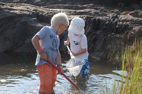 Explore the rocks and tide pools of Chandler Hovey Park in Marblehead 