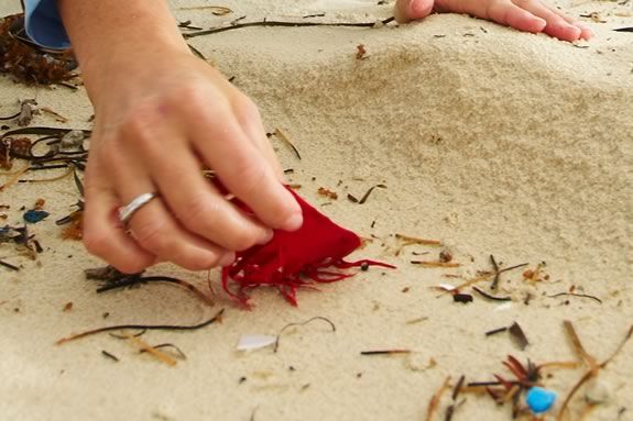 Join Seaside Sustainability at Singing Beach in Manchester Massachusetts for a COASTSWEEP cleanup!