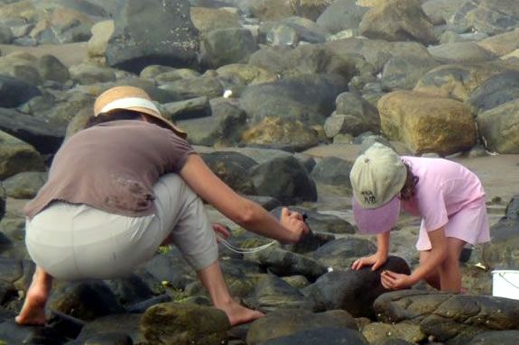 Kids ages 6-8 will investigate the intertidal zone with Joppa Naturalists! 