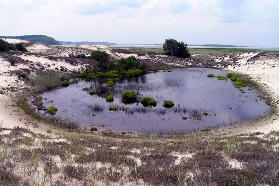 Explore the vernal habitats of the Crane Wildlife Refuge with the Trustees at Ni