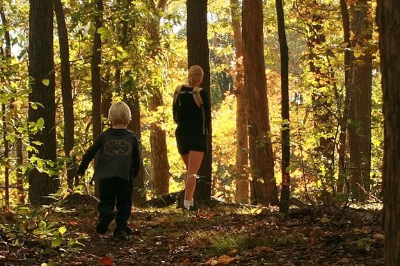 Take a twilight walk at Maudslay State Park in Newburyport Massachusetts! Take a twilight walk at Maudslay State Park in Newburyport Massachusetts!