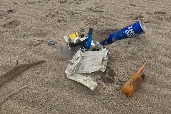 Join Salem Sound Coastwatch for a Coastsweep cleanup at Palmer Cove in Salem Massachusetts