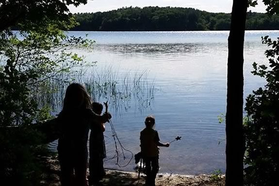 Join the Friends of Veasey and Groveland Garden Club for an all ages informational nature walk to learn about the native species at Veasey Park. Join the Friends of Veasey and Groveland Garden Club for an all ages informational nature walk to learn about the native species at Veasey Park.
