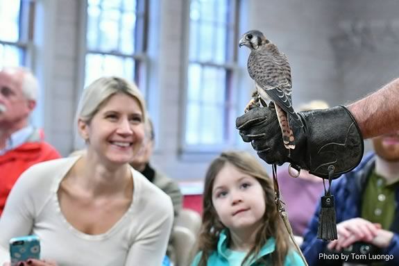 Wingmasters present live North American Birds of Prey at Mass Audubon's Ipswich River Wildlife Sanctuary