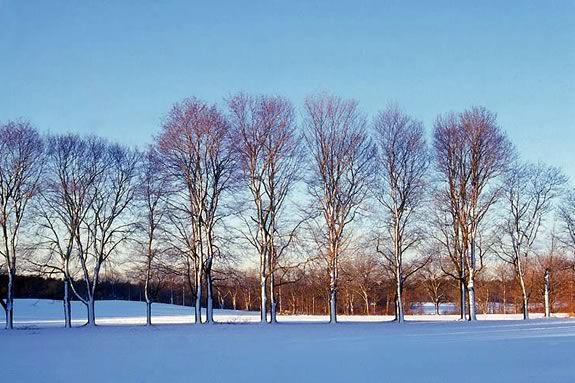 Bring the Family on a Reindeer Quest at the Appleton Farms Grassrides!