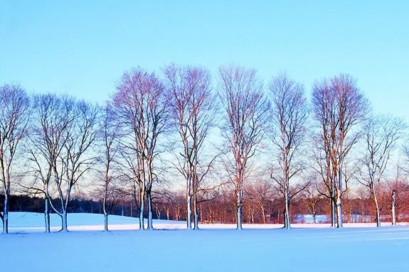 Appleton Farm's Winter Explorers program is geared to children aged 7-11