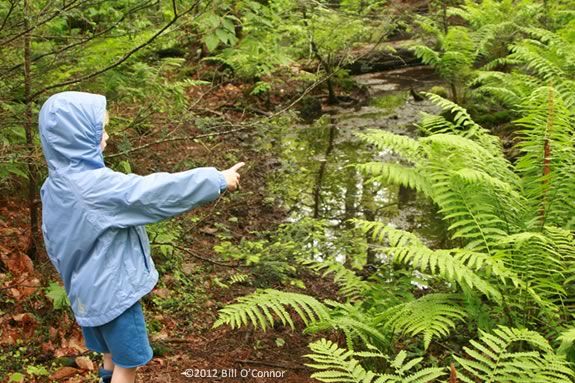 Join this Trails and Sails Hike through the woods in Ipswich for a Ice Cream Treat! Join this Trails and Sails Hike through the woods in Ipswich for a Ice Cream Treat!