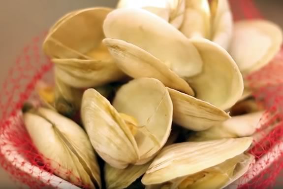 Enjoy food, live music and all kinds of family fun at the Essex Clam Fest! Photo: An order of steamed clams from Woodman's of Essex