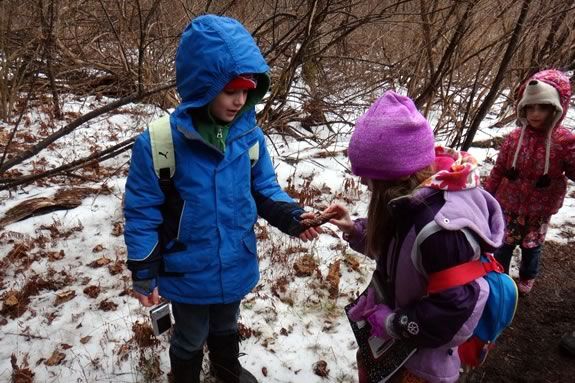 Kids can get outsoors andf explore the wilds of the North Shore with Kestrel Educational Adventures during February Vacation