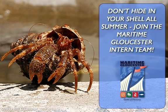 Don't hide in a shell all Summer! Join the intern  team at Maritime Gloucester!