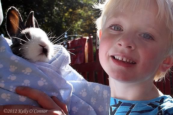 Kids will learn about animal care at the Children's Museum of New Hampshire!