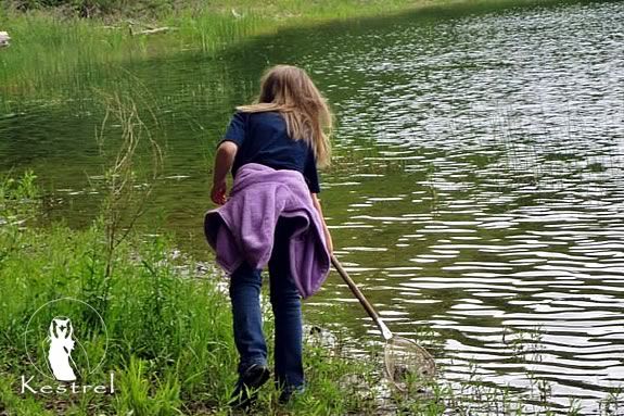 Kestrel Adventures encourages kids to grown through connecting with nature in their Summer Programs! Kestrel Adventures encourages kids to grown through connecting with nature!
