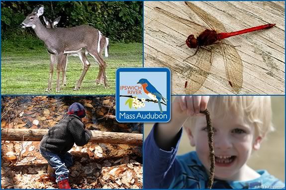 Four days of exploring and natural adventure await your child at Ipswich River Wildlife Sanctuary this April Vacation! Four days of exploring and natural adventure await your child at IRWS!