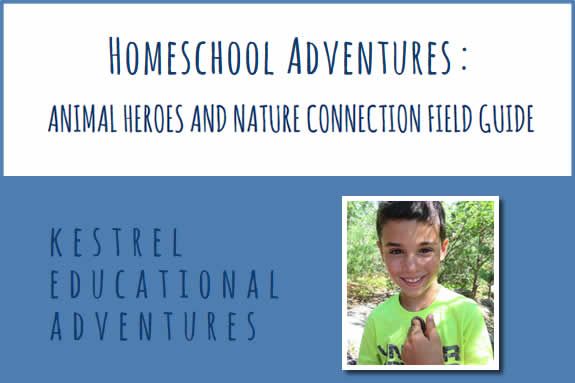 Homeschool Adventures Kestrel Educational Adventures