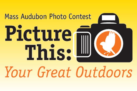 Mass Audubon's picture this contest is all about having fun whild helping out.