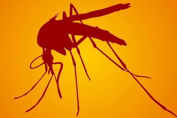 West Nile Virus hasd been found on Massachusetts' North Shore