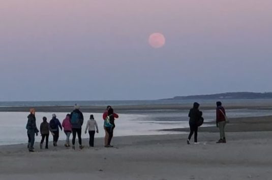 Walk through the Crane Wildlife Refuge in Ipswich Massachusetts with the Trustees under the full moon.