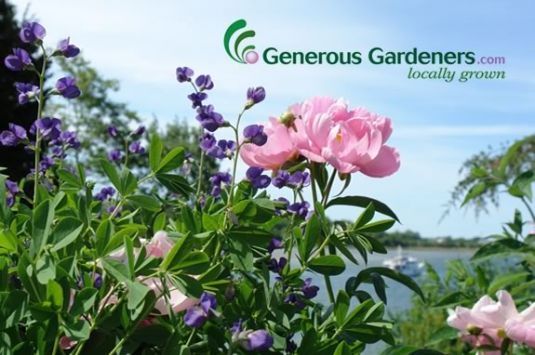 Generous Gardeners is having a plant sale just in time for the growing season in Gloucester Massachusetts!