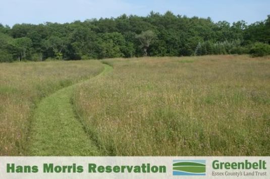 Kids ages 4-8 will explore the Hans Morris Reservation in Newbury with Mass Audubon! 