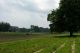 Appleton Farms in Ipswich, Massachusetts is America’s oldest continuously operating farm with 658 acres of trails farmland and grassy fields. Appleton Farms in Ipswich, Ma is America’s oldest continuously operating farm.