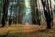 Stroller Walks at Appleton Farms help families with toddlers to connect with nature in Ipswich Massachusetts!